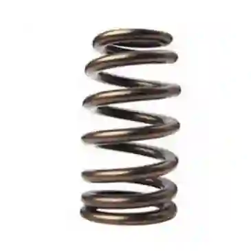 LS-Series Valve Springs - 12621428