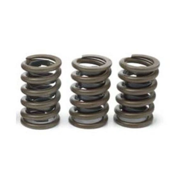 Valve Spring - 1.250" OD - 10212811