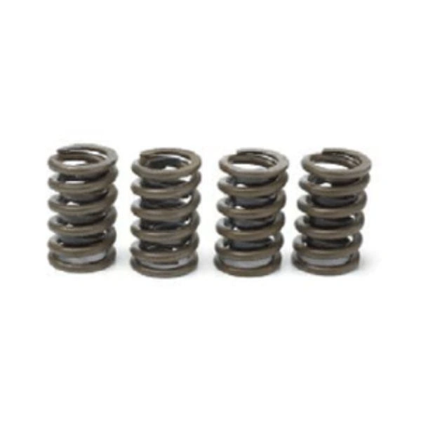 Chevrolet Performance Valve Springs - 1.514" OD - 19418908