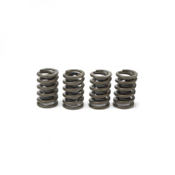 602 VALVE    SPRING [SINGLE] - 19154761-1