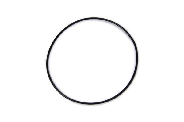 Rear Cover, O-Ring - 19166180
